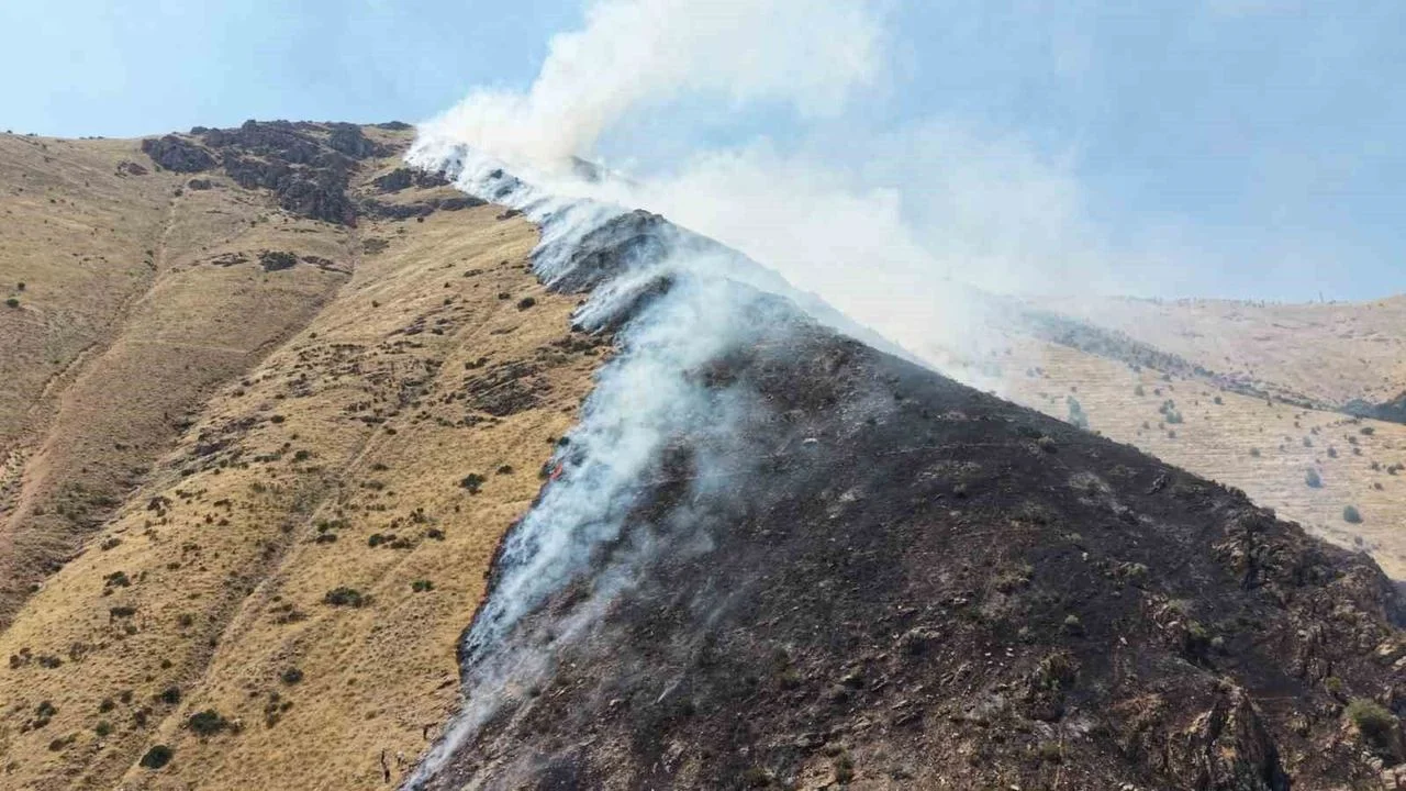 Elazığ’da 100 Dönümlük Orman Yangınına Neden Olan Şüpheli Tutuklandı