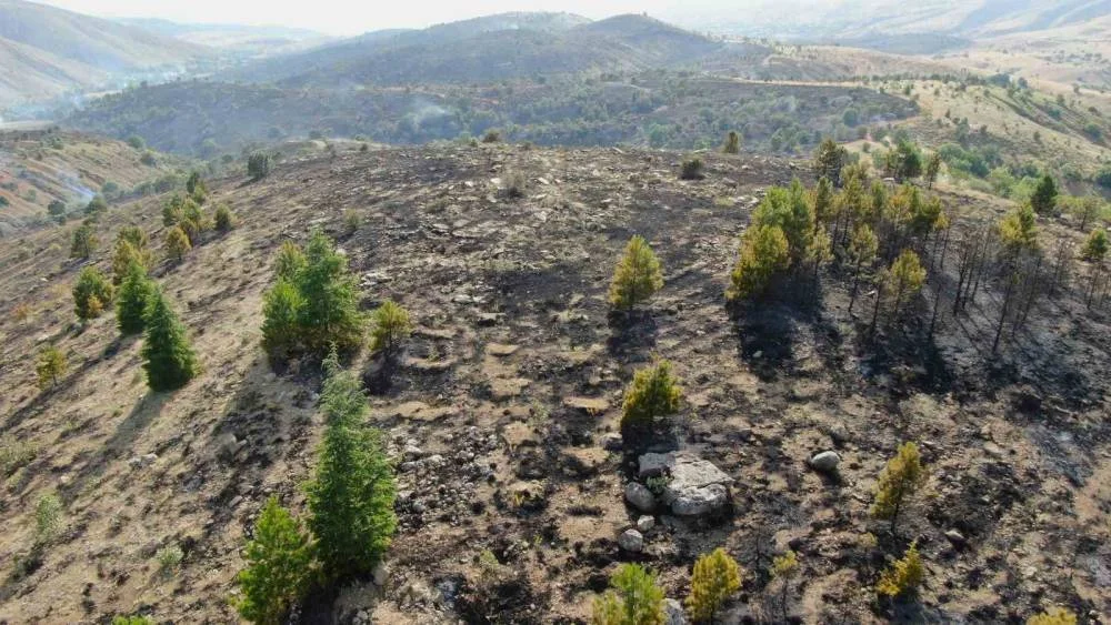 Elazığ’da Kontrol Altına Alınan Orman Yangını, Yüzlerce Dönüm Ormanı Küle Çevirdi